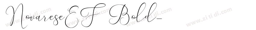 NovareseEF Bold字体转换
